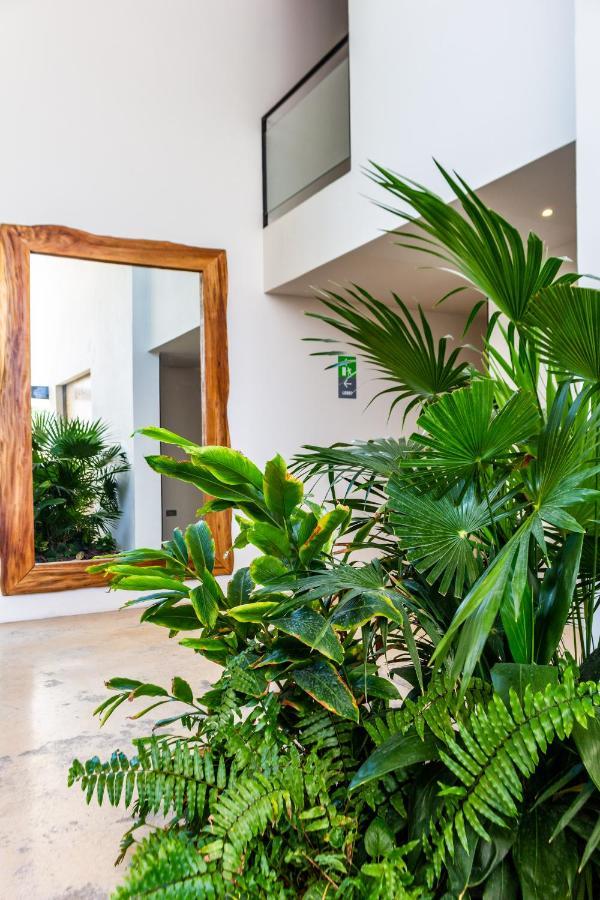 Big Studio At Kaab By The Beach With Roof Top Pool, Sauna And Jacuzzi Near Paseo Del Carmen Mall Playa del Carmen Exterior foto